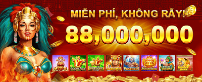 Khám phá thế giới Momo Nohu